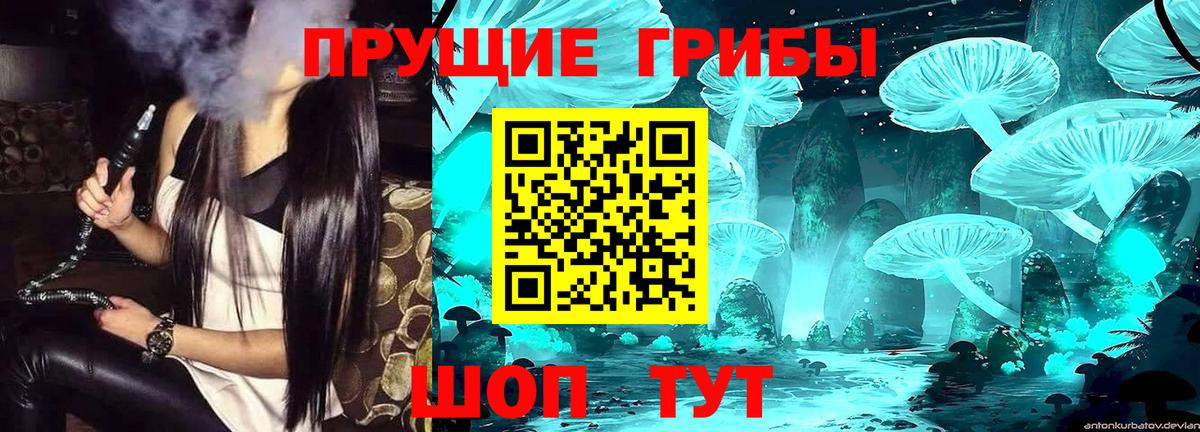 Галлюциногенные грибы Magic Shrooms  Псилоцибиновые грибы прущие грибы  Вход с VPN  Углич 