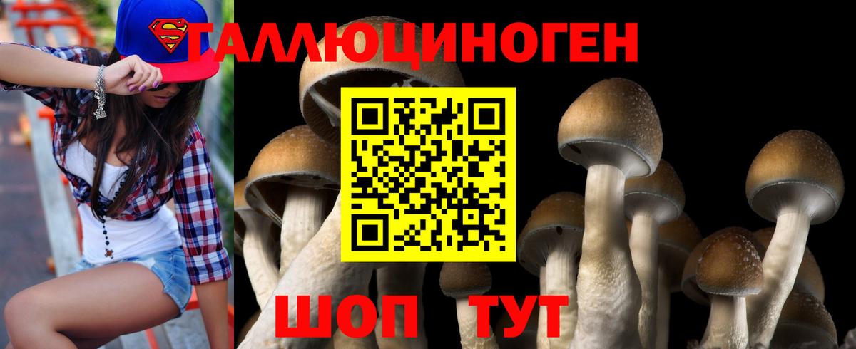 Псилоцибиновые грибы MAGIC MUSHROOMS Углич